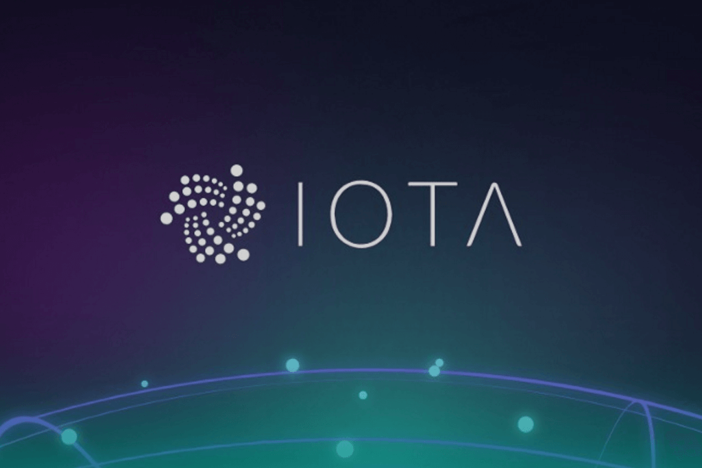 Iota Miota Price Prediction For 2019 And Beyond What Is More - 